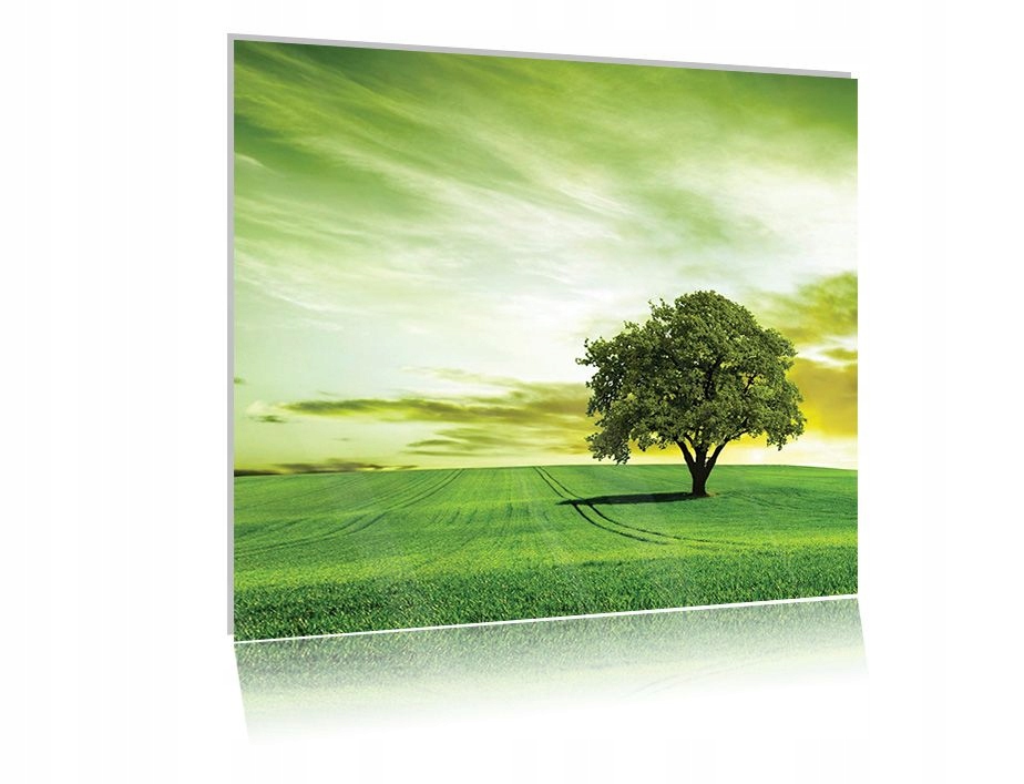 

Obraz szklany na szkle Drzewo 03 30x30