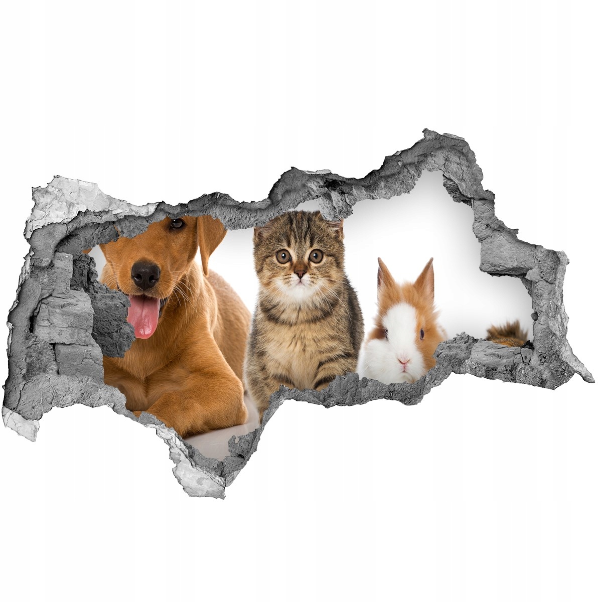 

Dziura 3d fototapeta na ścianę Pies i kot 115x88
