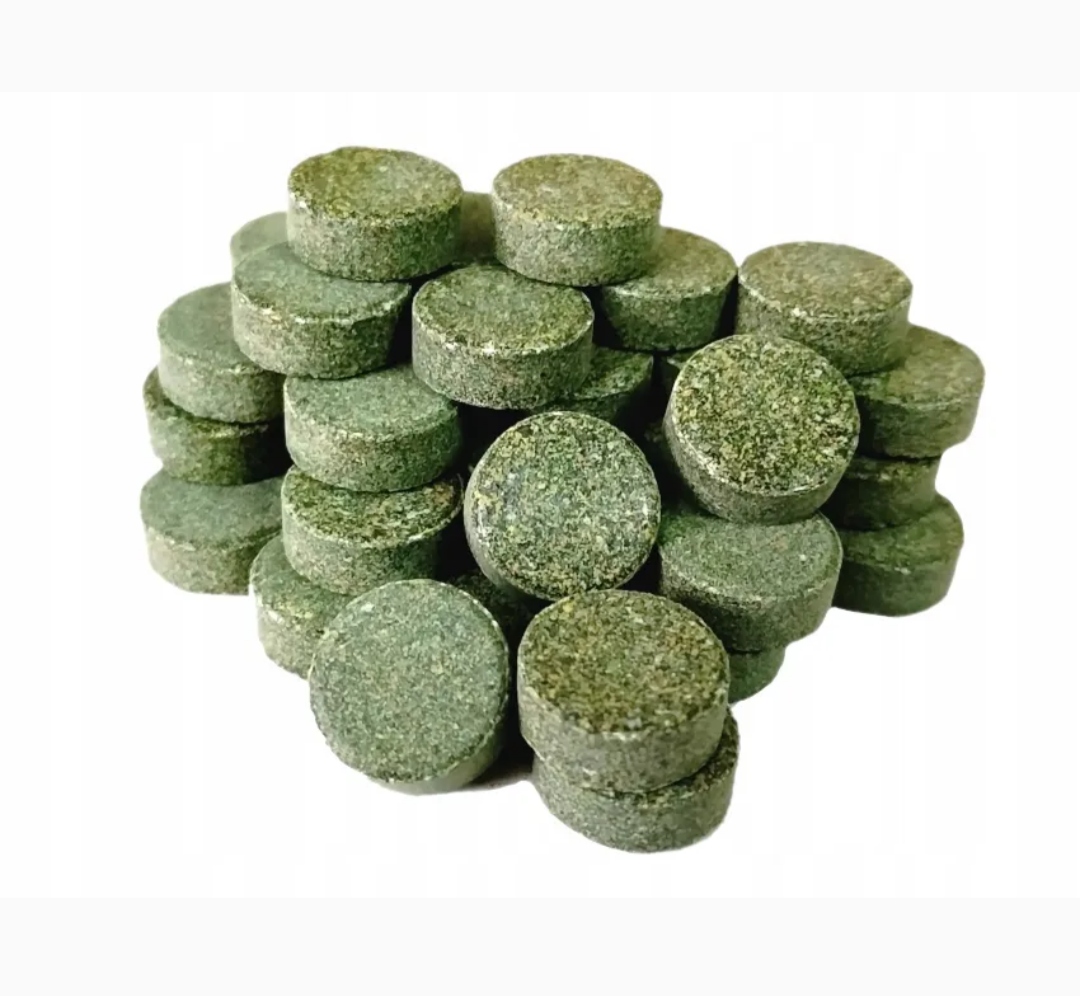 Levně Spirulina v tabletách 10 kg krmivo pro Glonojada kiryska Ryb Denných