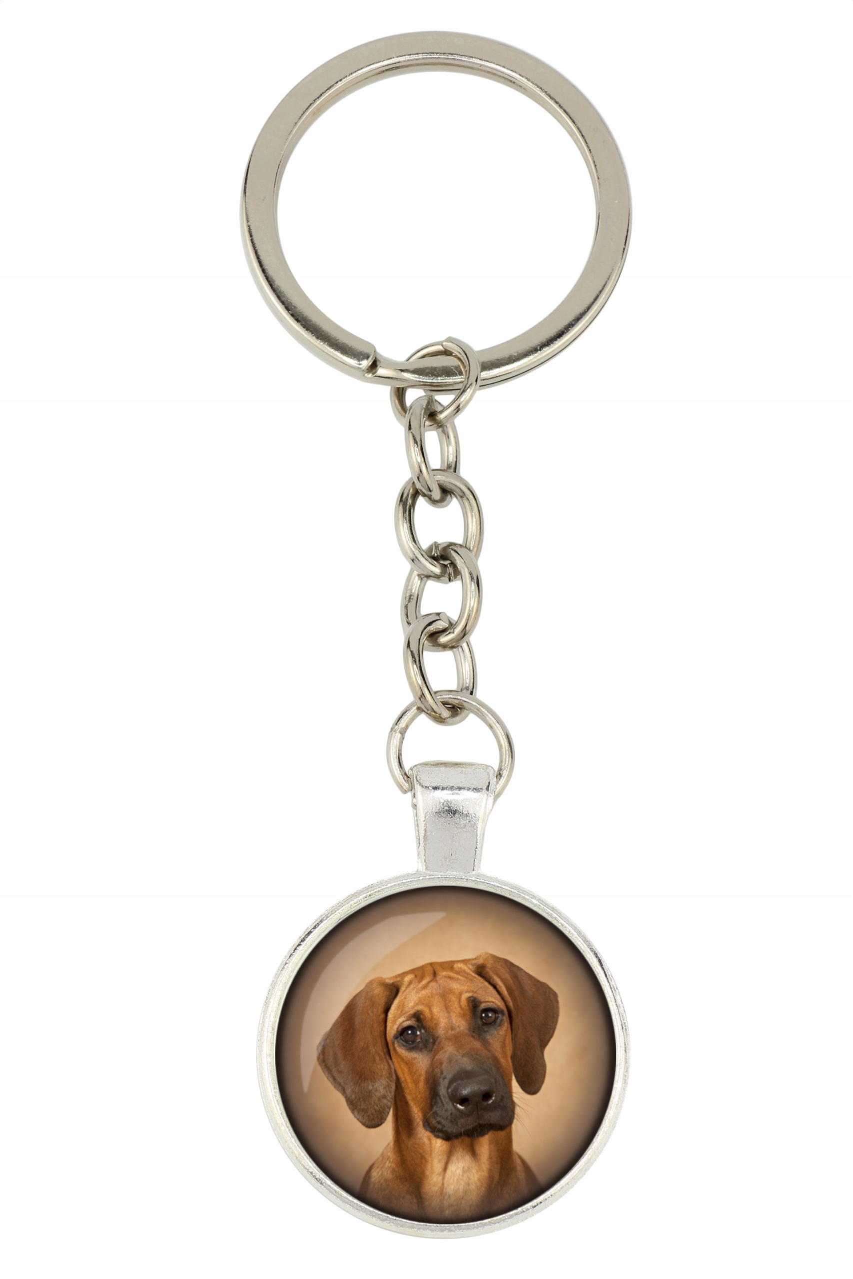 

Rhodesian Ridgeback Brelok Twoje zdjęcie foto