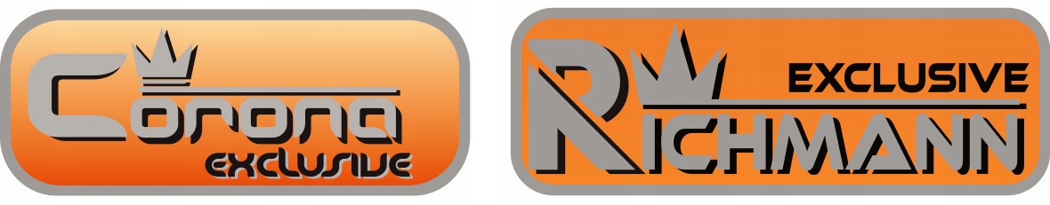 Zestaw bitów SPLINE 12 KĄTNE Richmann C6938 M4-18 Liczba elementów w zestawie 22