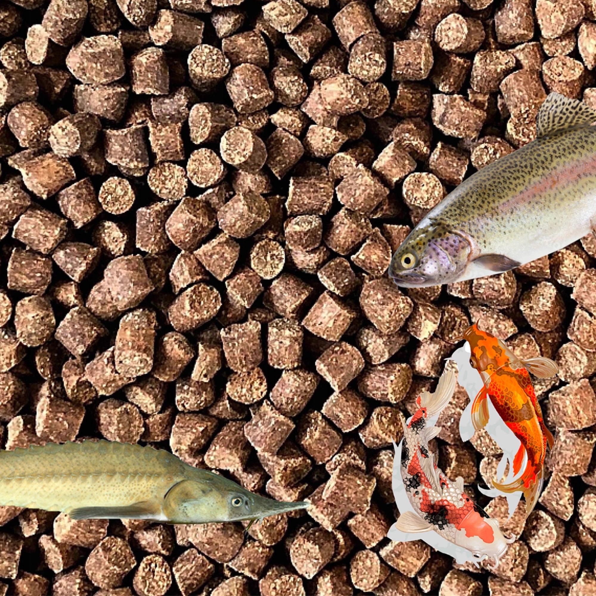Aller Aqua Classic 2mm 5kg tonący granulat zanęta pellet na karpia leszcza