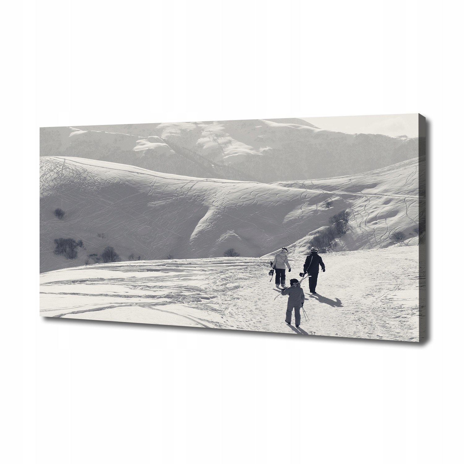

Foto obraz canvas na ścianę Narciarze 140x70 cm
