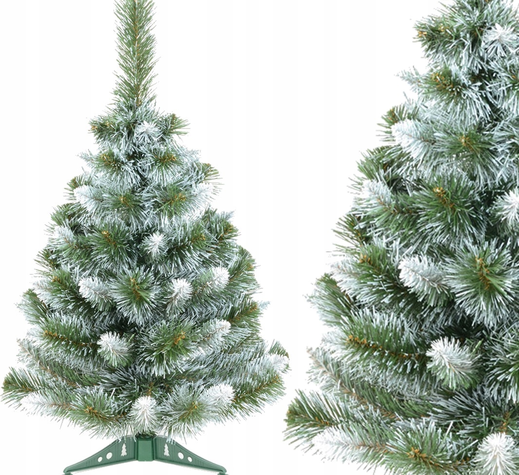 

Choinka Sosna Anna Białe Końce 50 CM