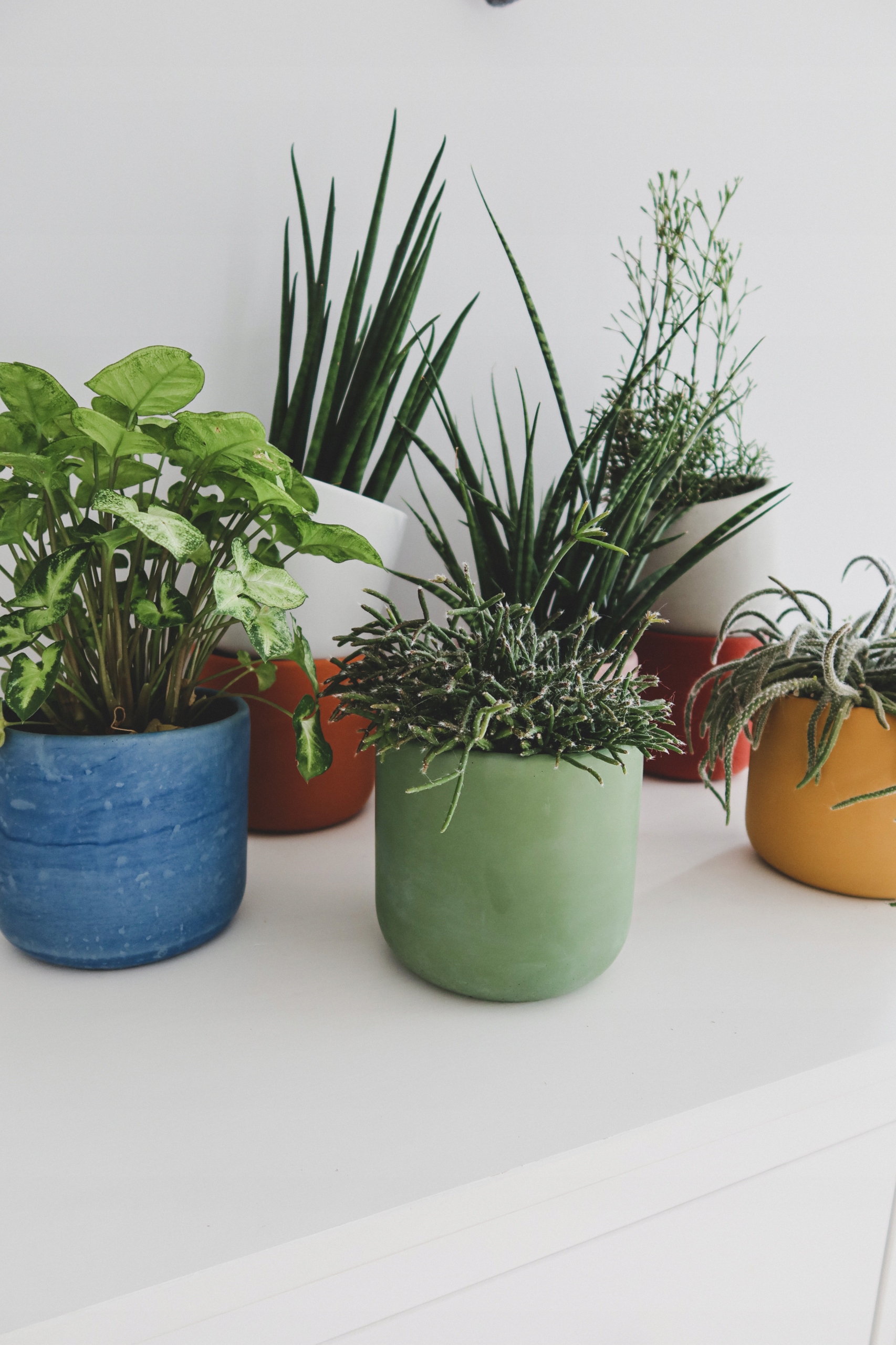 Doniczka betonowa 14cm różowa Rodzaj osłonka