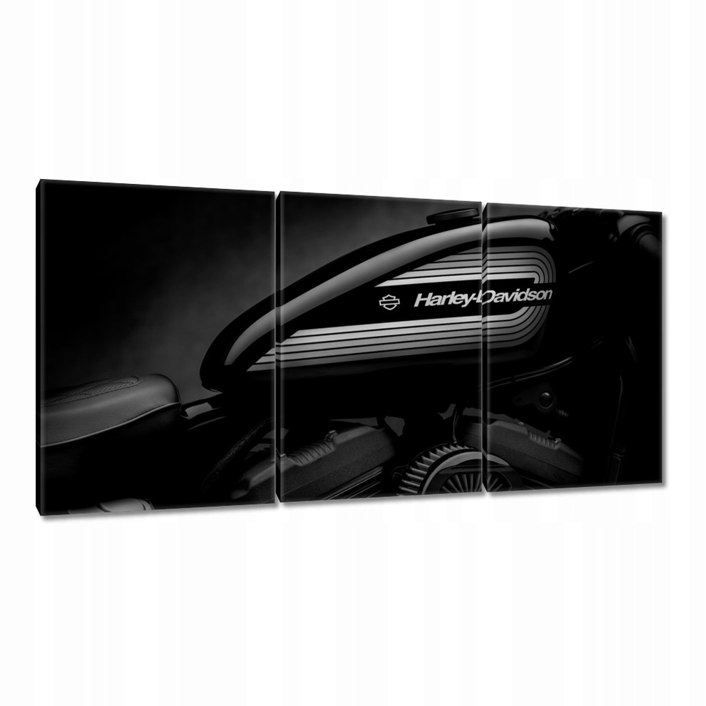 

Obrazy 120x60 Harley Davidson Motocykl