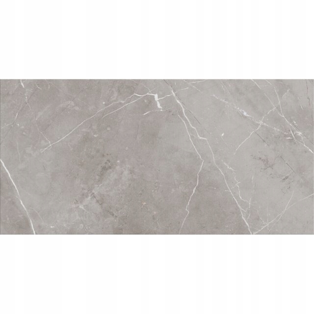 PŁYTKI ŚCIENNE ASSIER szary POŁYSK 30x60