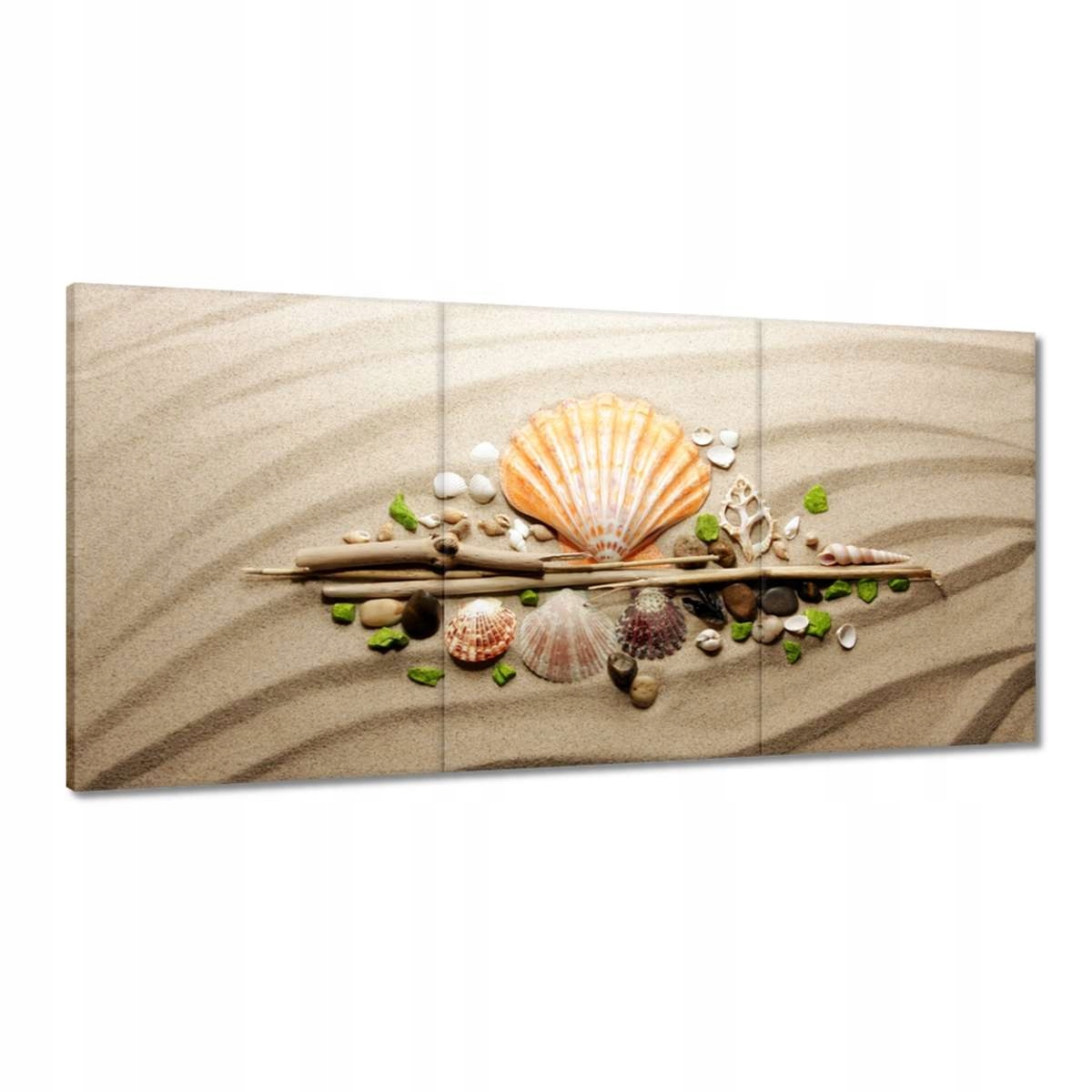 Obrazy 180x90 Mušle Morský piesok