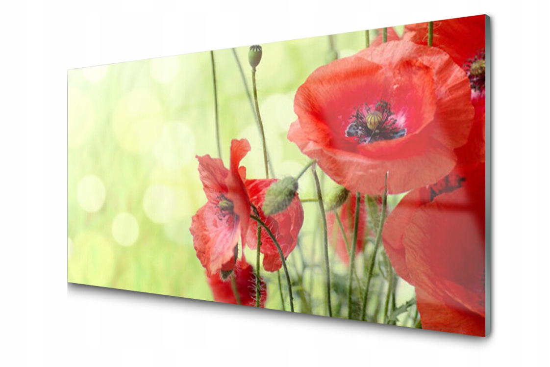 

Panel szklany Płytka Maki Kwiaty 120x60 + Klej