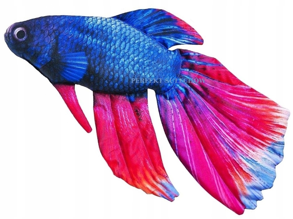 

Poduszka Maskotka Bojownik 53 cm