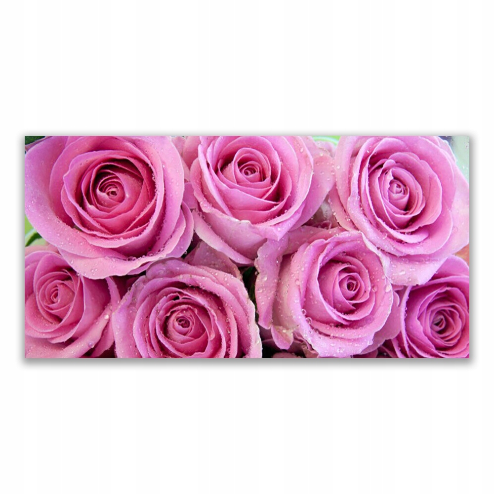 

Obraz akryl na prezent 140x70 Róże Kwiaty Roślina