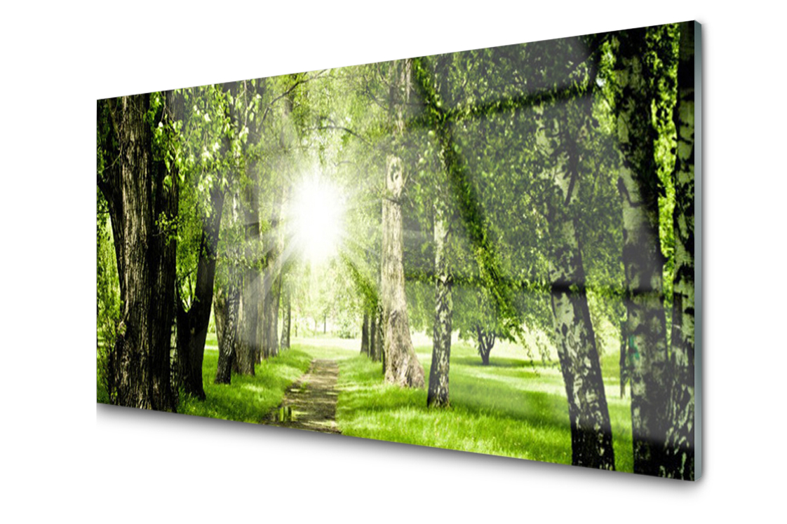 

Panel szklany Płytka Las Słońce Ścieżka 140x70