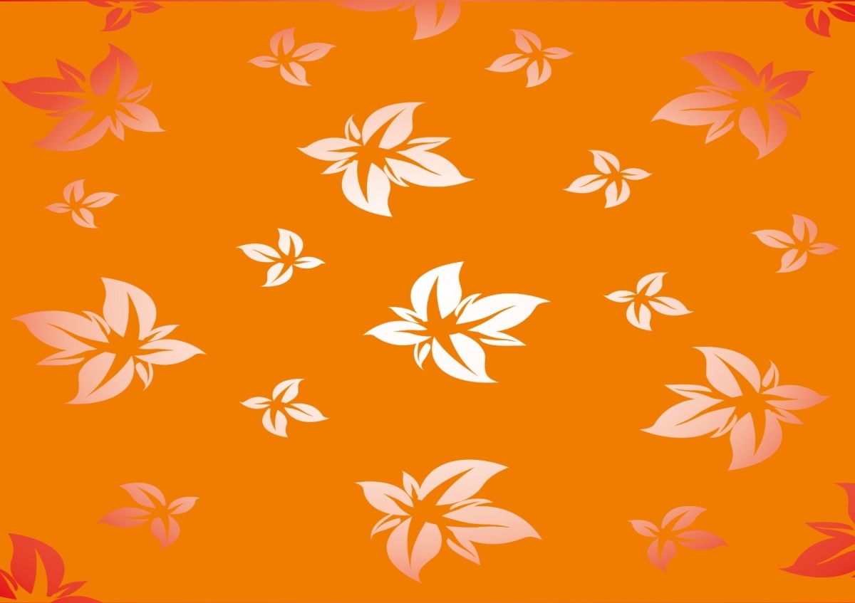 

Fototapeta Flizelinowa Kwiecisty wzór 208x146