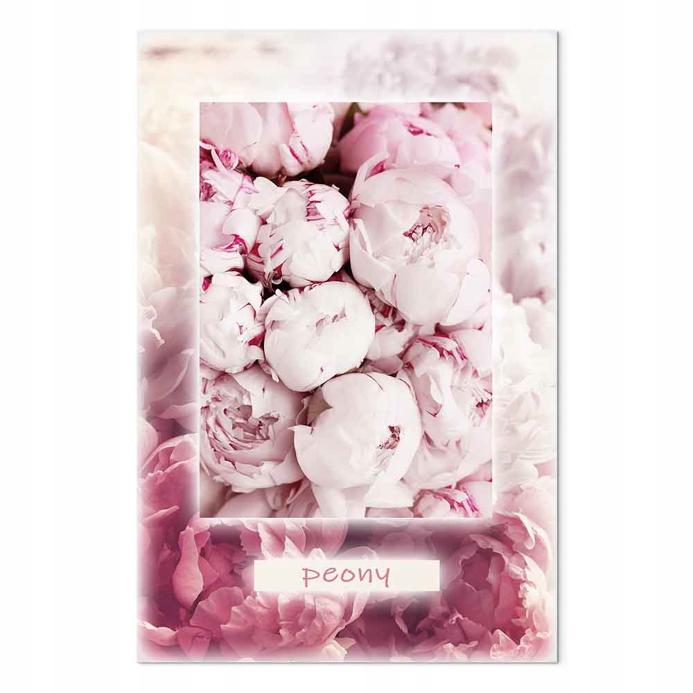 Obraz na plátně canvas Jaro Květiny Pivoňky Shabby chic 80x120 cm