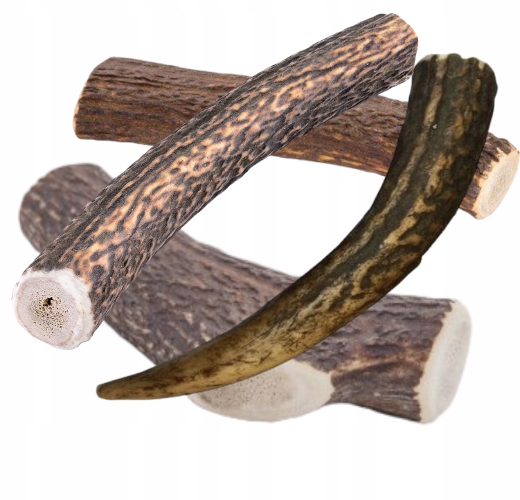 Smart Dogs Přírodní kousátko z paroží Jelení parohy Roz L Hard 15 cm 50-90 g