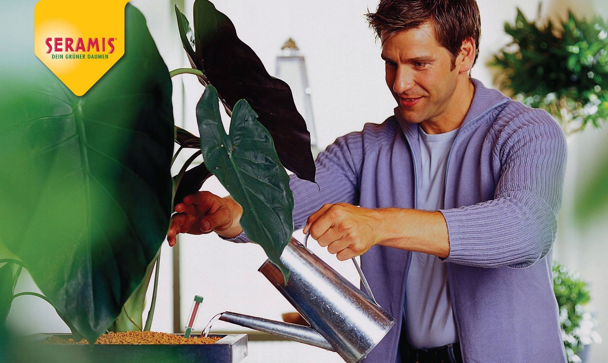 SERAMIS ZIEMIA STRELICJI MONSTERY ALOKAZJI FIKUSA Kod producenta SERAMIS PODŁOŻE KWIATY DOMOWE 7,5 L