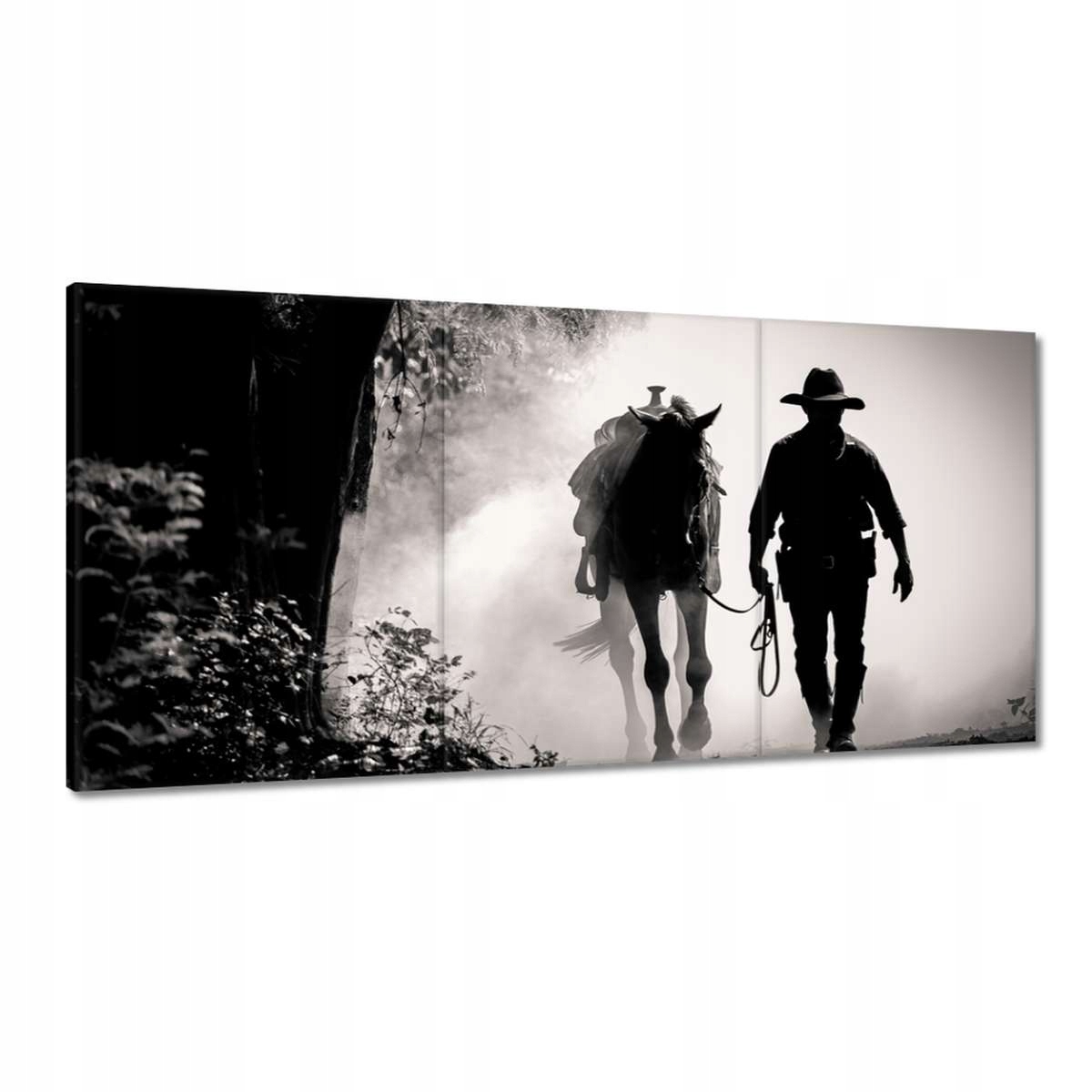 Obrazy 180x90 CowBoy so svojím rámikom