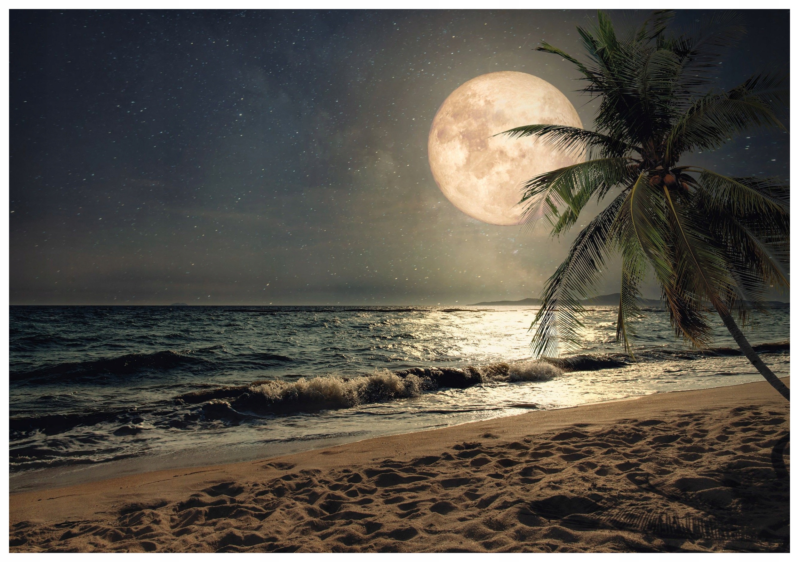 Fototapeta Pláž Oceán Noc Hořlavý Měsíc Hvězdy Krajina 368x254 lepidlo