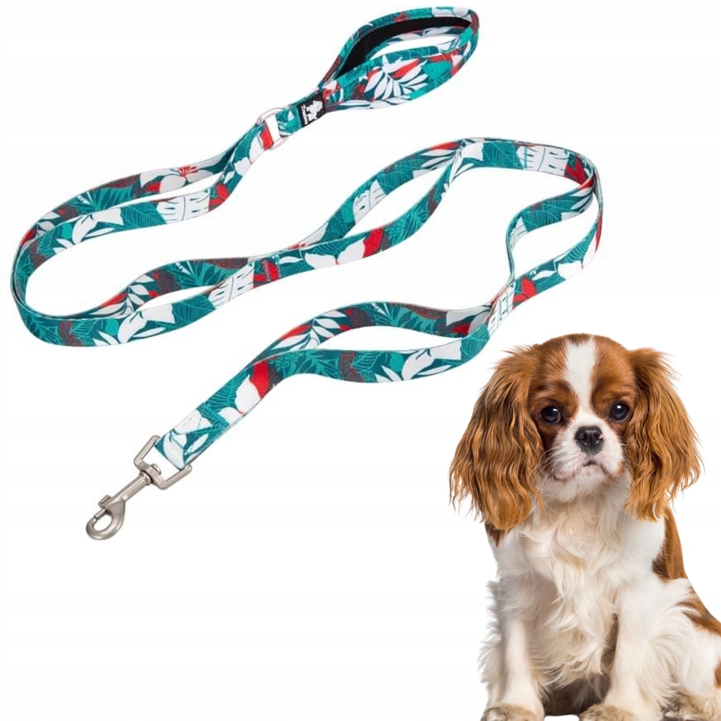 Levně Vodítko Pro Psa Truelove Tropical Tyrkysově Červená 1,4 M, Velikost S