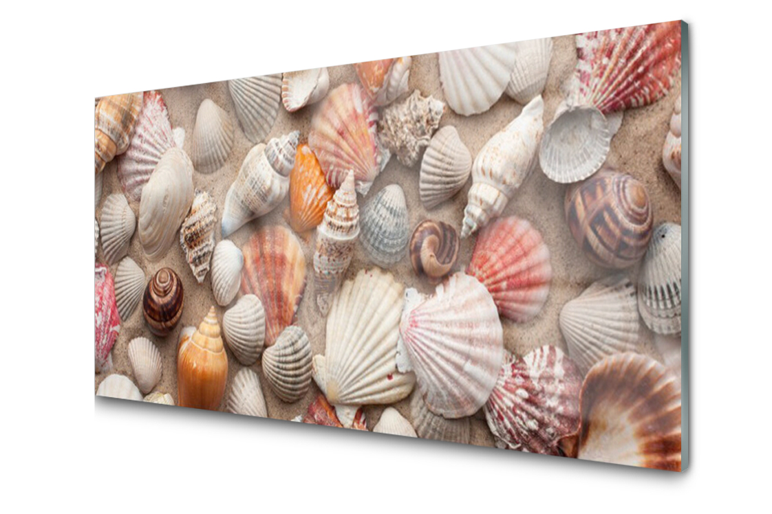 

Panel szklany Płytka Skorupiak Piasek 120x60