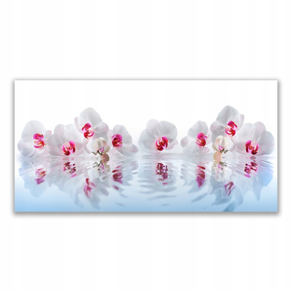 

Obraz akrylowy 140x70 Kwiaty Roślina Natura Sztuka