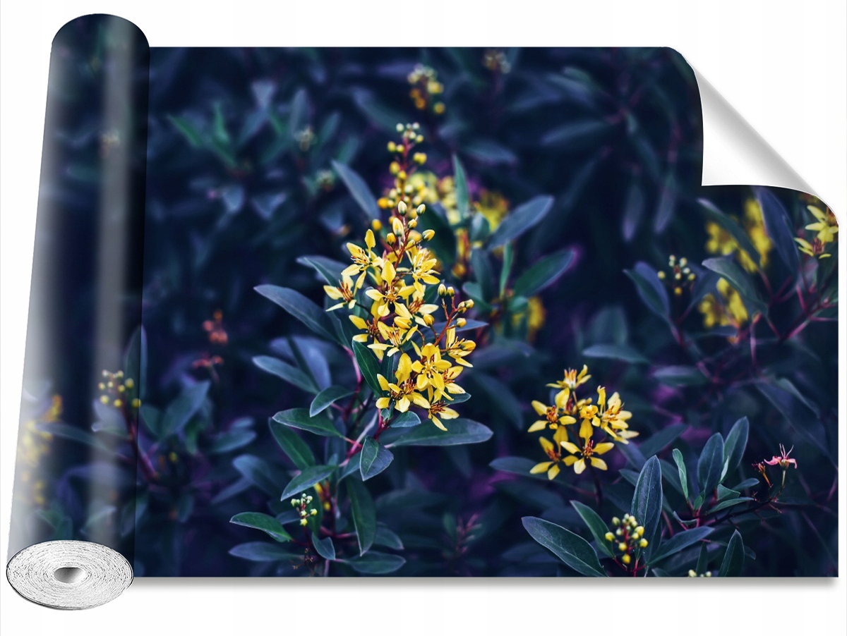 

Tapeta Okleina Żółte kwiaty - 152x104