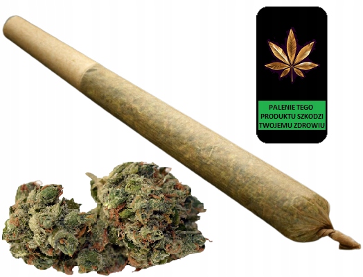 

5x Joint skręt susz konopny 22% Cbd Marihuana