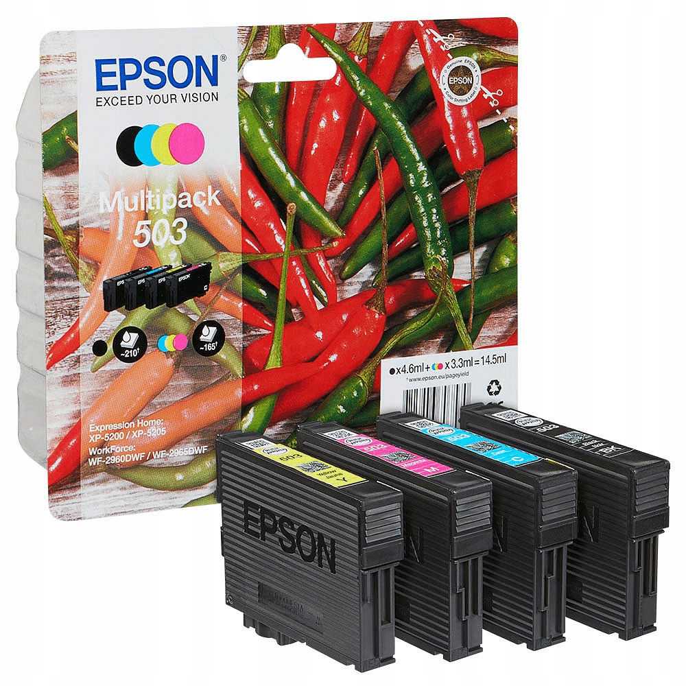 Inkoust Epson 19 Series C13T09Q64010