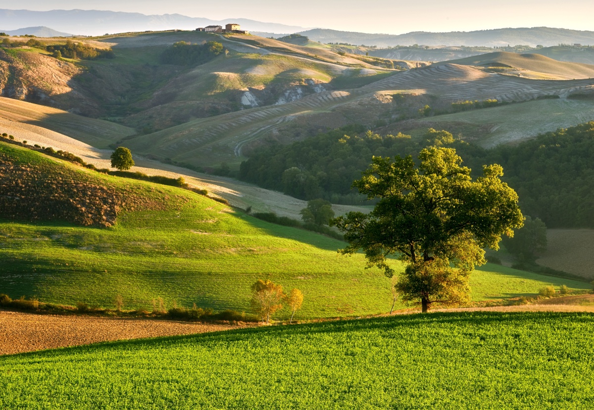 

Tapeta flizelinowa Toskania 152x104