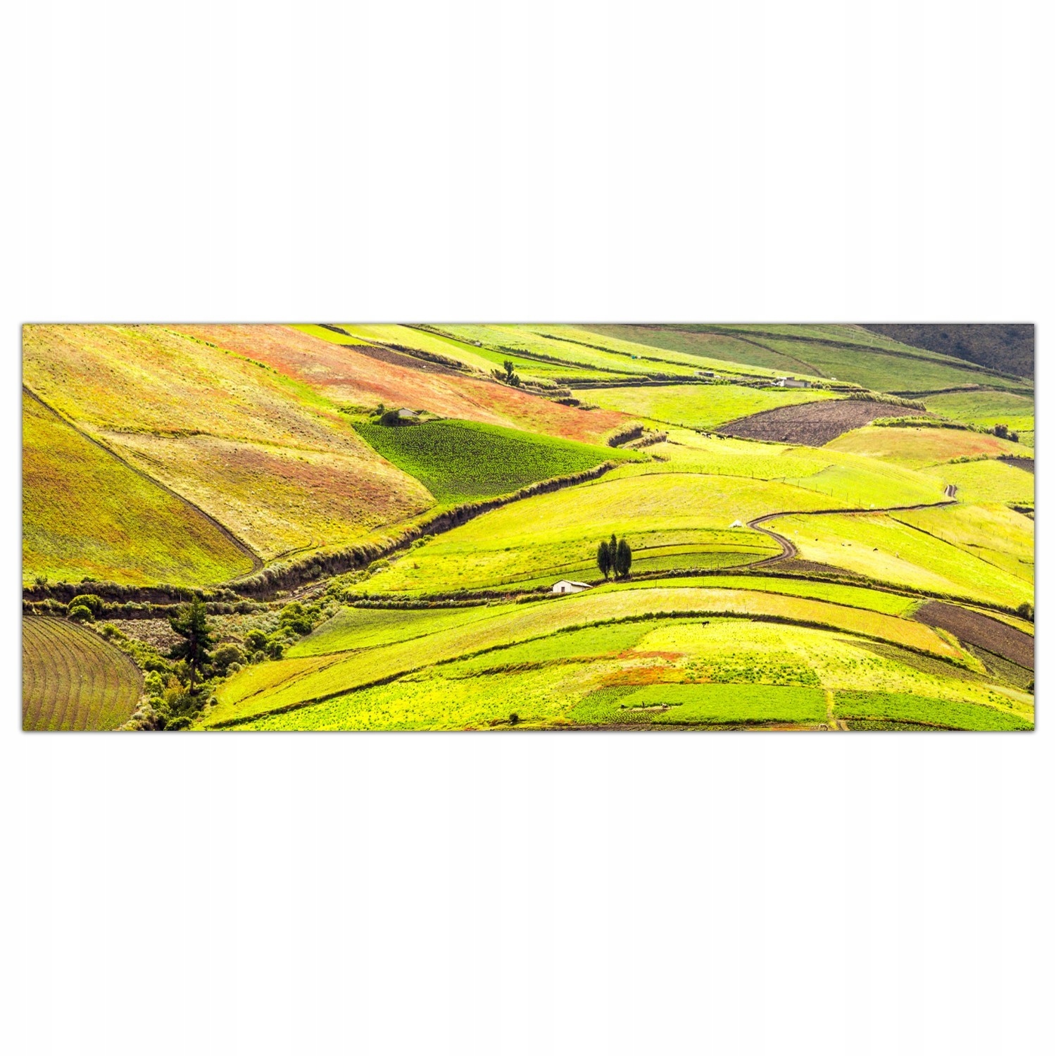 Pole Vesnice Krajina 125x50 Skleněné panely kuchyně