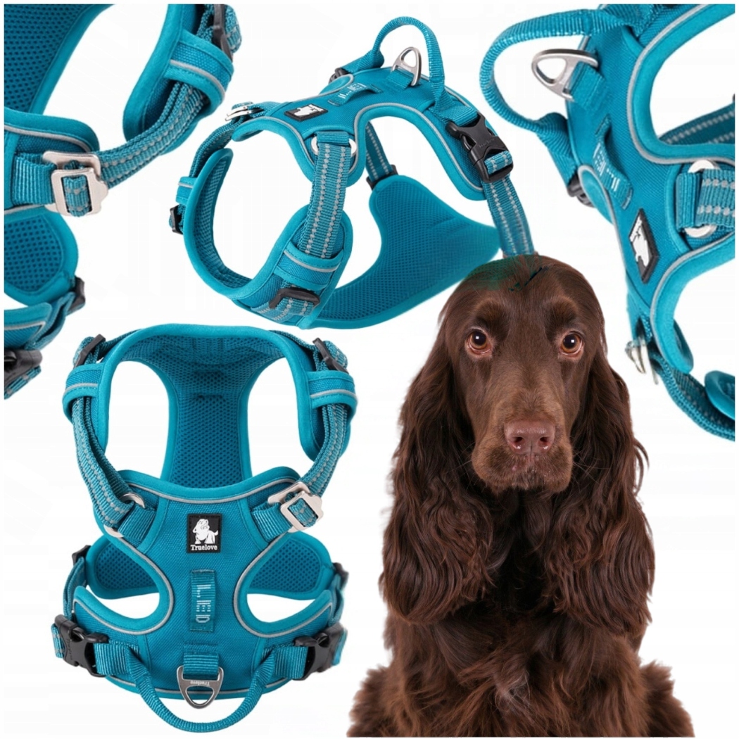 Levně Postroje Pro Psa Nastavitelné Truelove Front Line Premium Silné Modré L