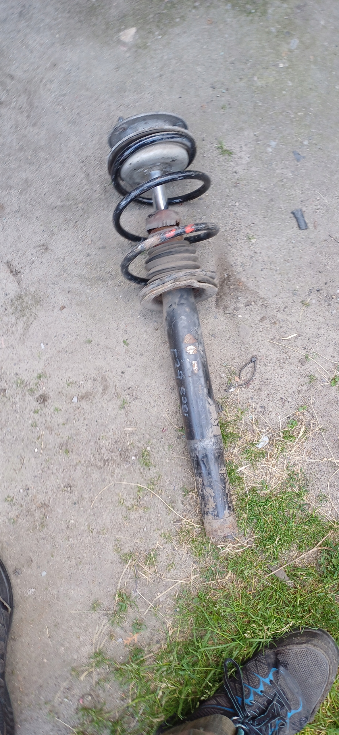 BMW 5 E39 528I shock absorber spring MCPERSON front