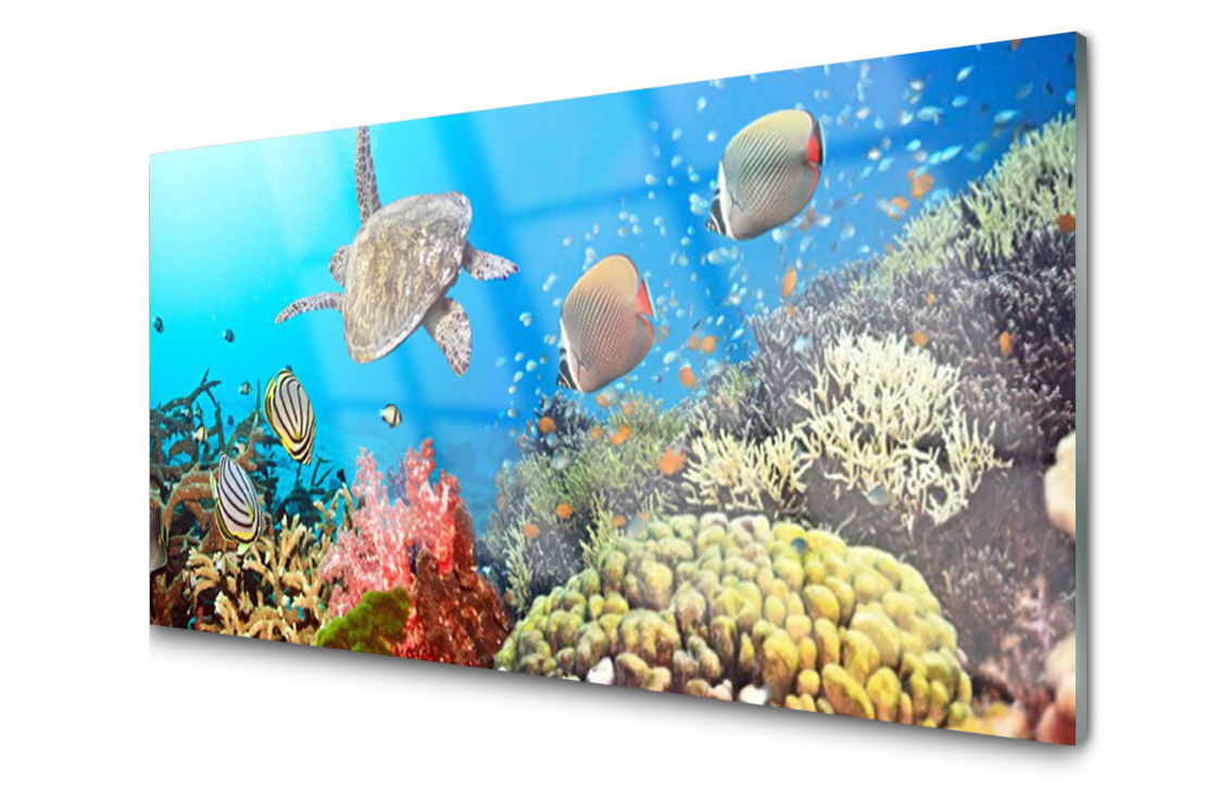 

Panel szklany dekoracyjny Rafa Koralowa 100x50