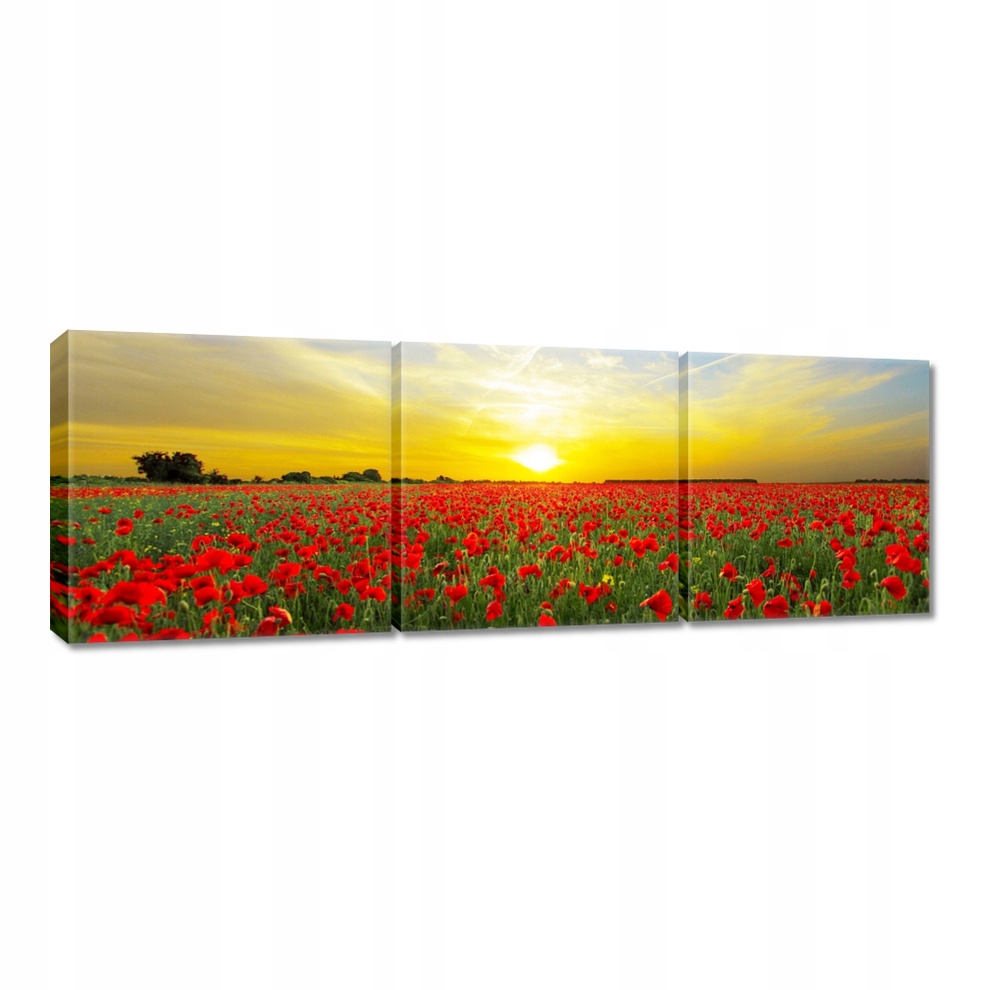 

Obrazy 120x40 Pole maków z zachodem