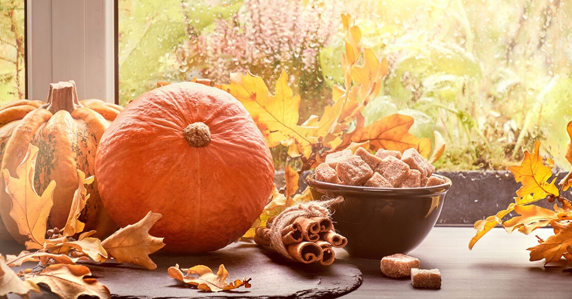 LIŚCIE MATERIAŁOWE JESIENNA DEKORACJA OZDOBNA 4 NATURALNE ŻYWE KOLORY 466 Typ różne typy