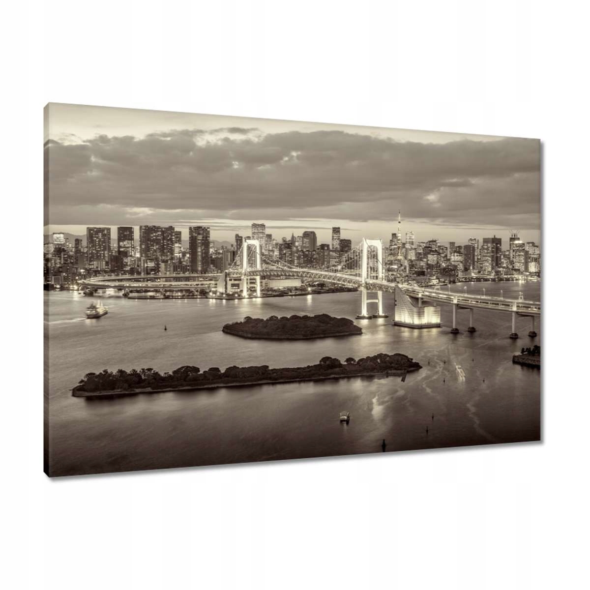 Obrazy 90x60 Duhový most v Tokiu