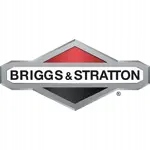 Zawór wydechowy do Briggs & Stratton Typ zawór
