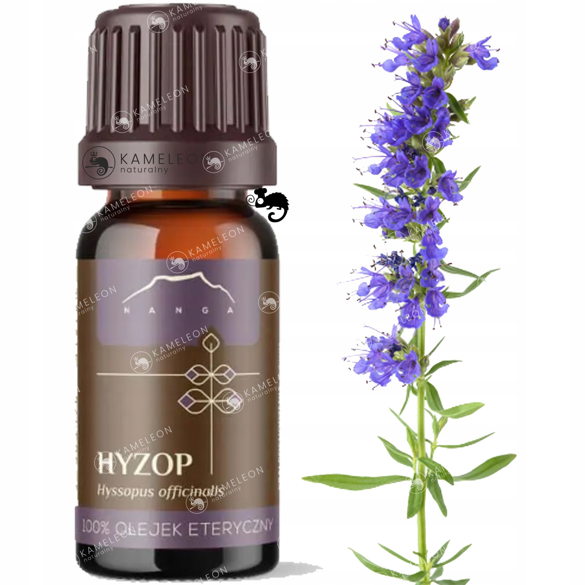 Nanga Olejek Eteryczny 100% Hyzop Hyzopowy 10ml