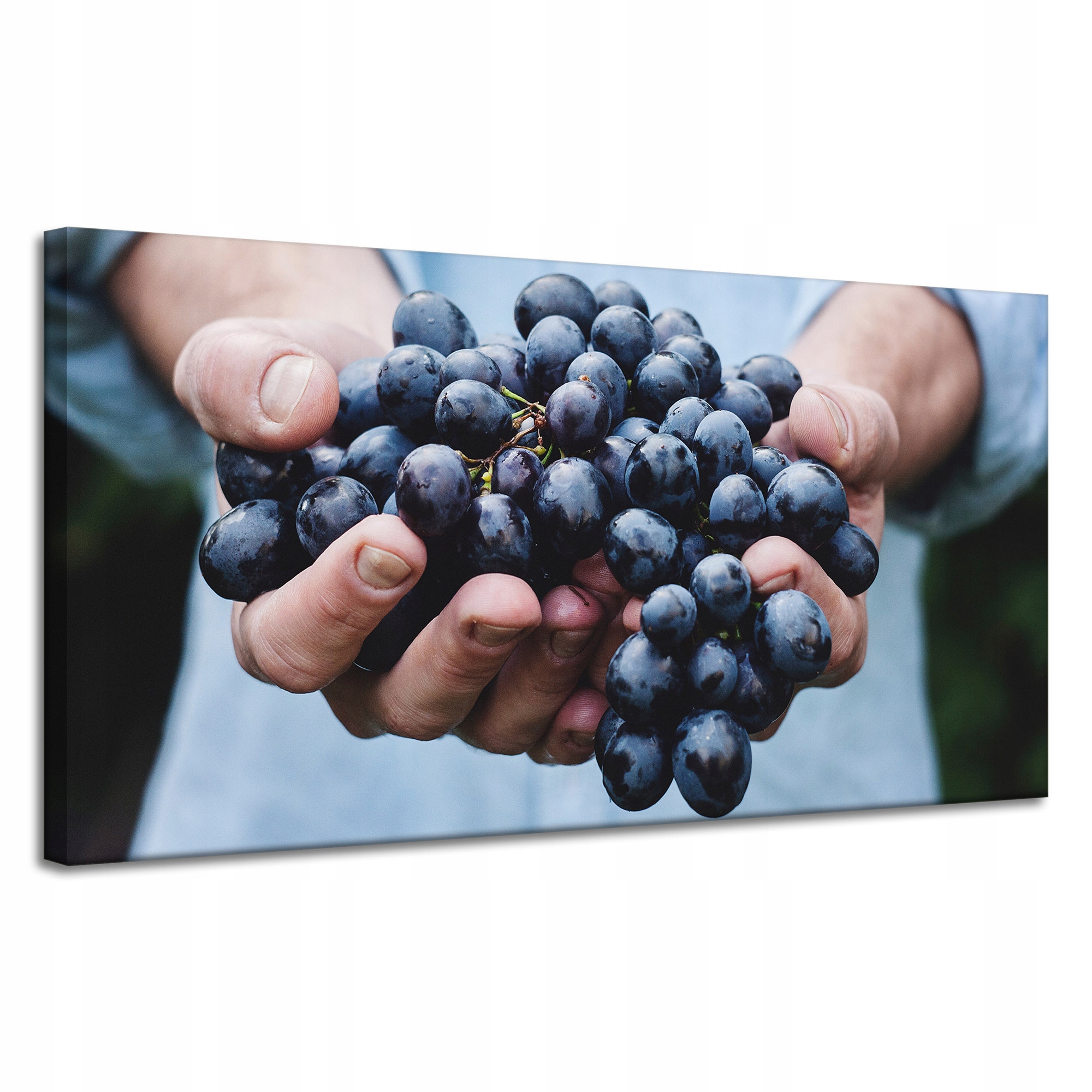 Obrazy na plátně Kuchyně s hrozny 120x60 cm