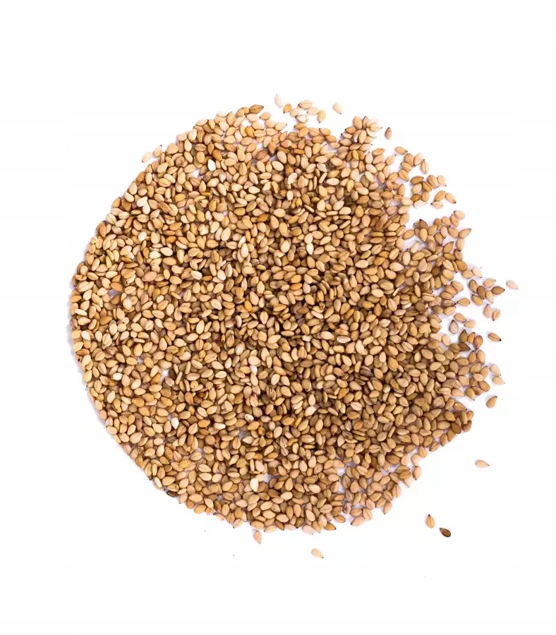 Sezam prażony 5kg biały do sushi dań azjatyckich japońskich suszi kuszi