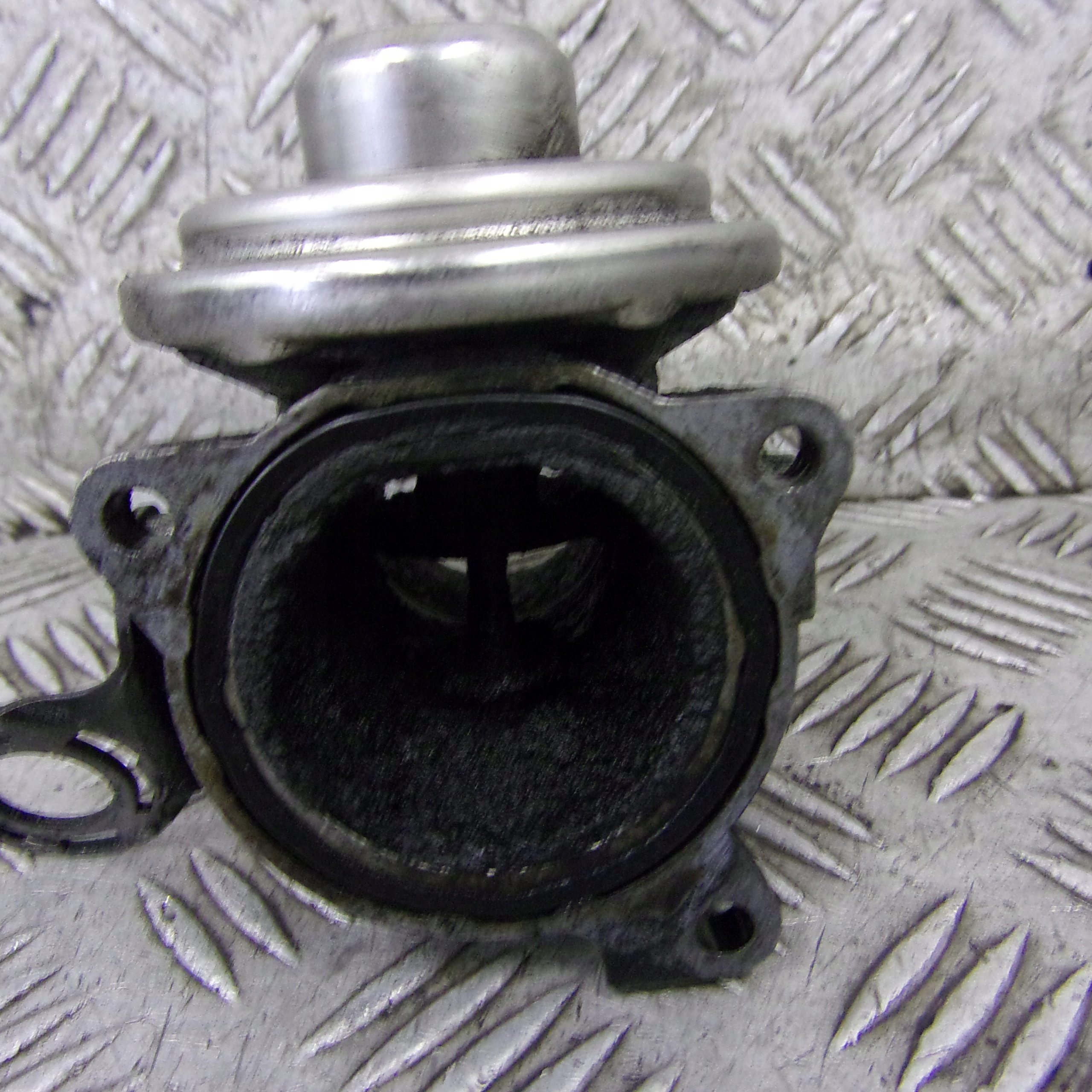 AGR-Ventil VOLKSWAGEN PASSAT B5 038131501G 1.9 TDI