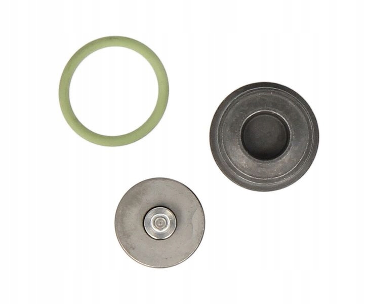 Компоненты насоса CR BOSCH F 00N 201 244