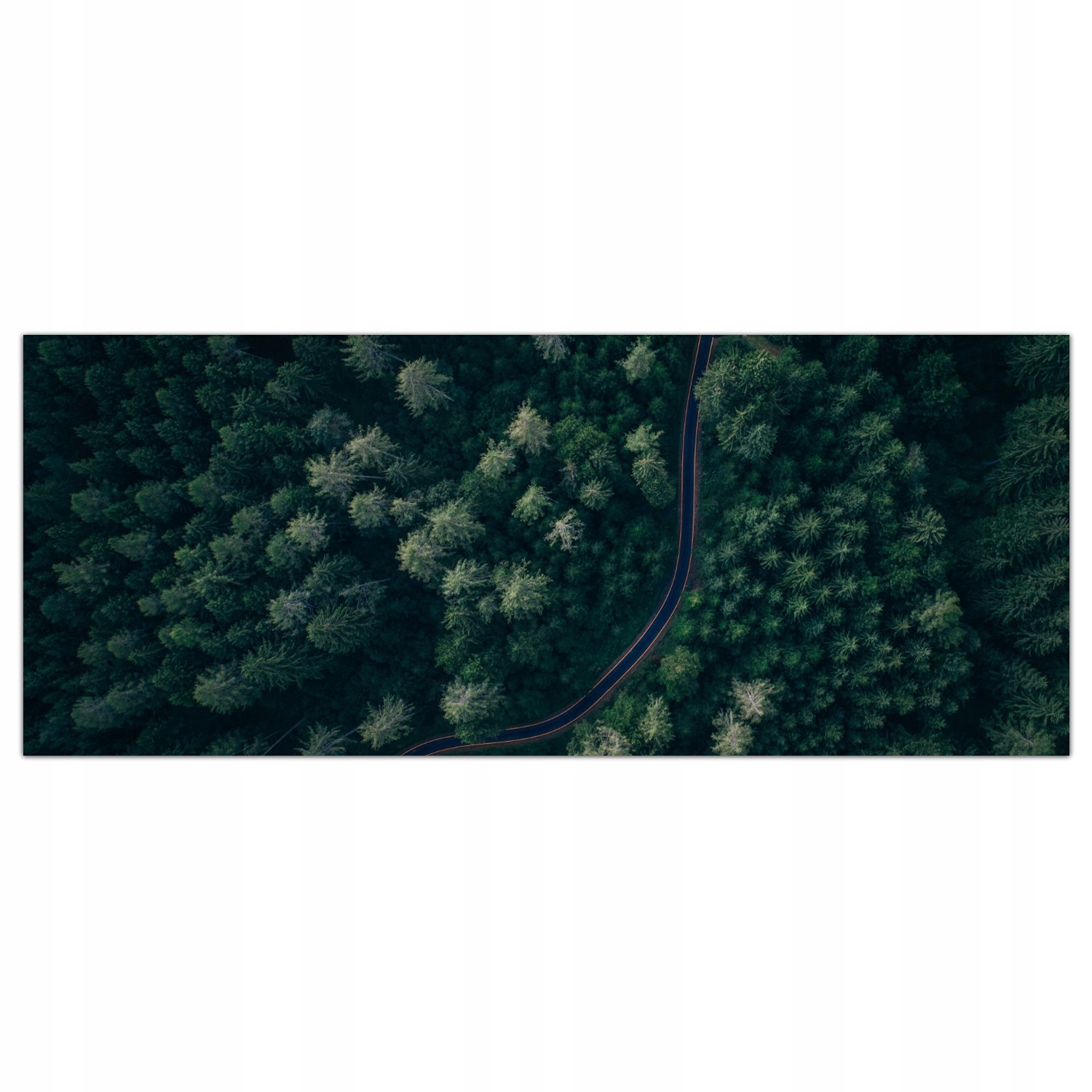 

Obraz na szkle Foto Droga Wiejska Drzewa 125x50