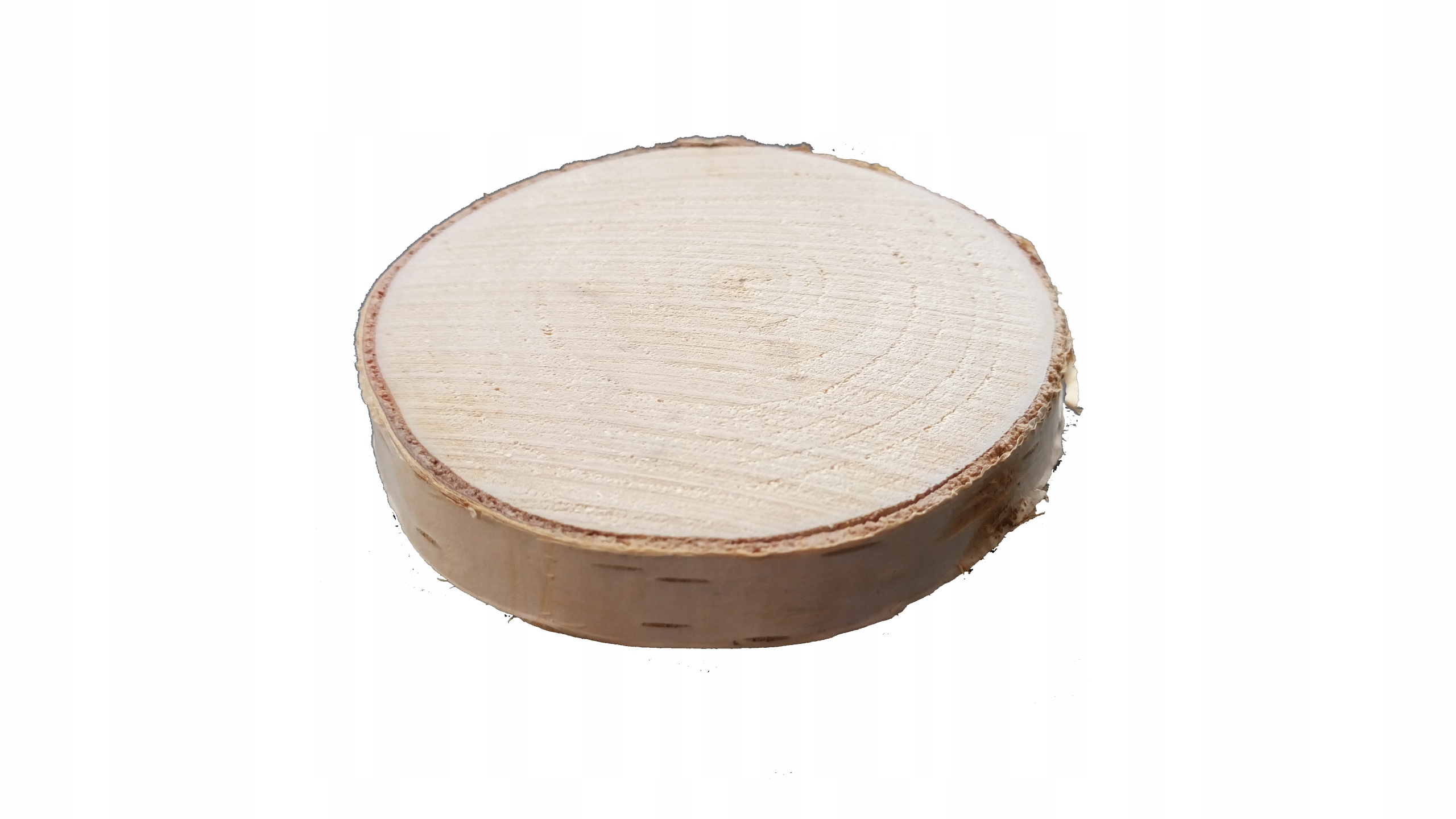 

Plastry brzozy Plaster Drewna szlifowane 10-11cm
