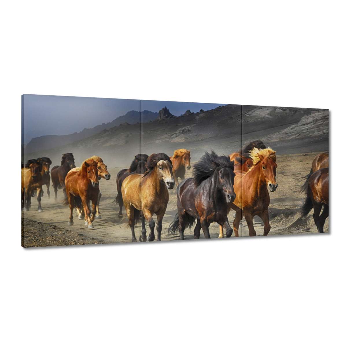 Obrazy 210x100 Kôň Kone Jazdenie