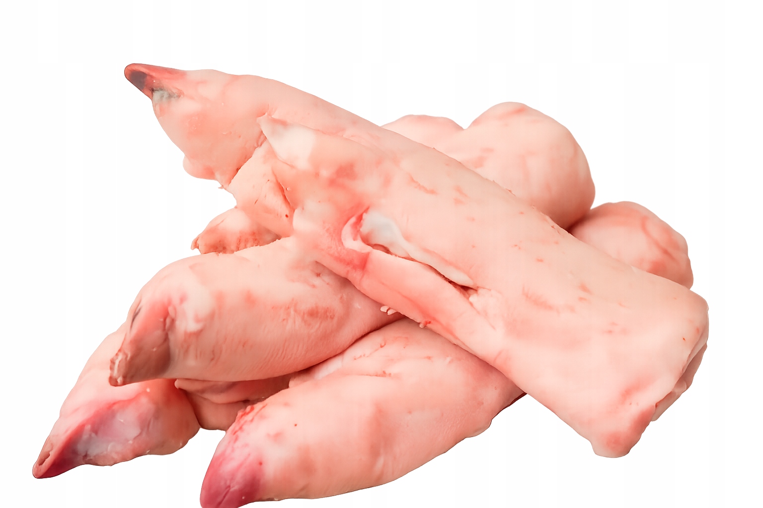 NOGI WIEPRZOWE NÓŻKI RACICZKI| Z własnego uboju | KOLAGEN | ŻELATYNA