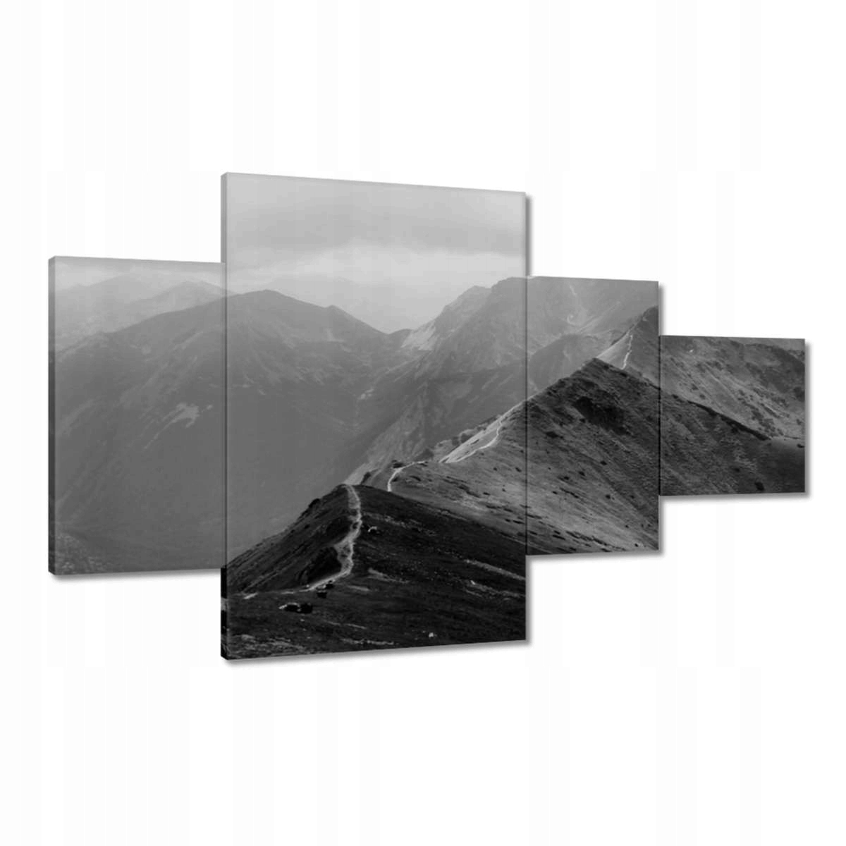 Obrazy 130x80 Tatry Polské hory Pohled