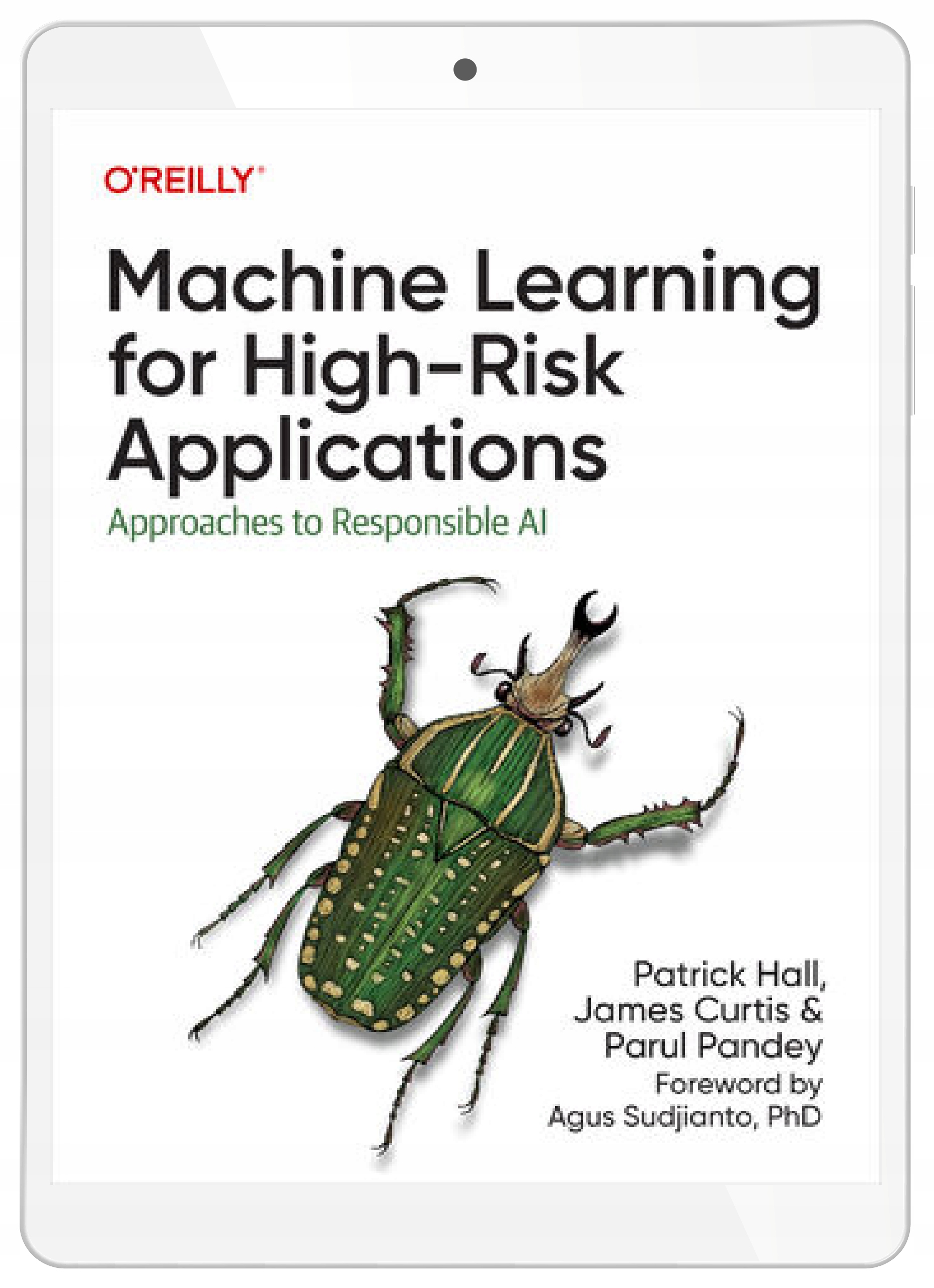 Machine Learning for High-Risk Applications