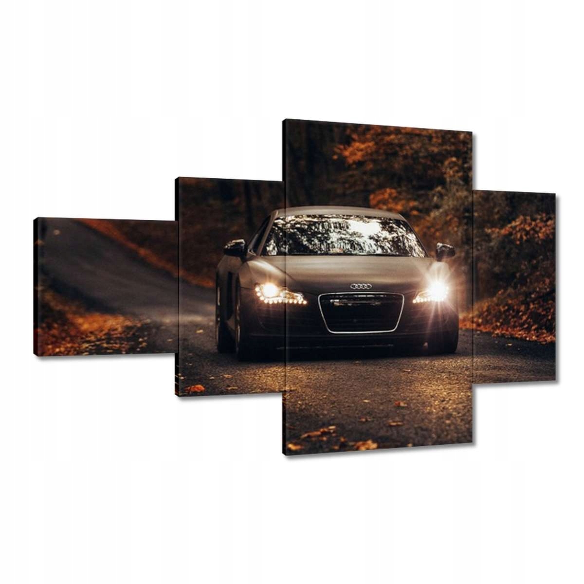 Obrazy 130x80 Audi Podzimní krajina