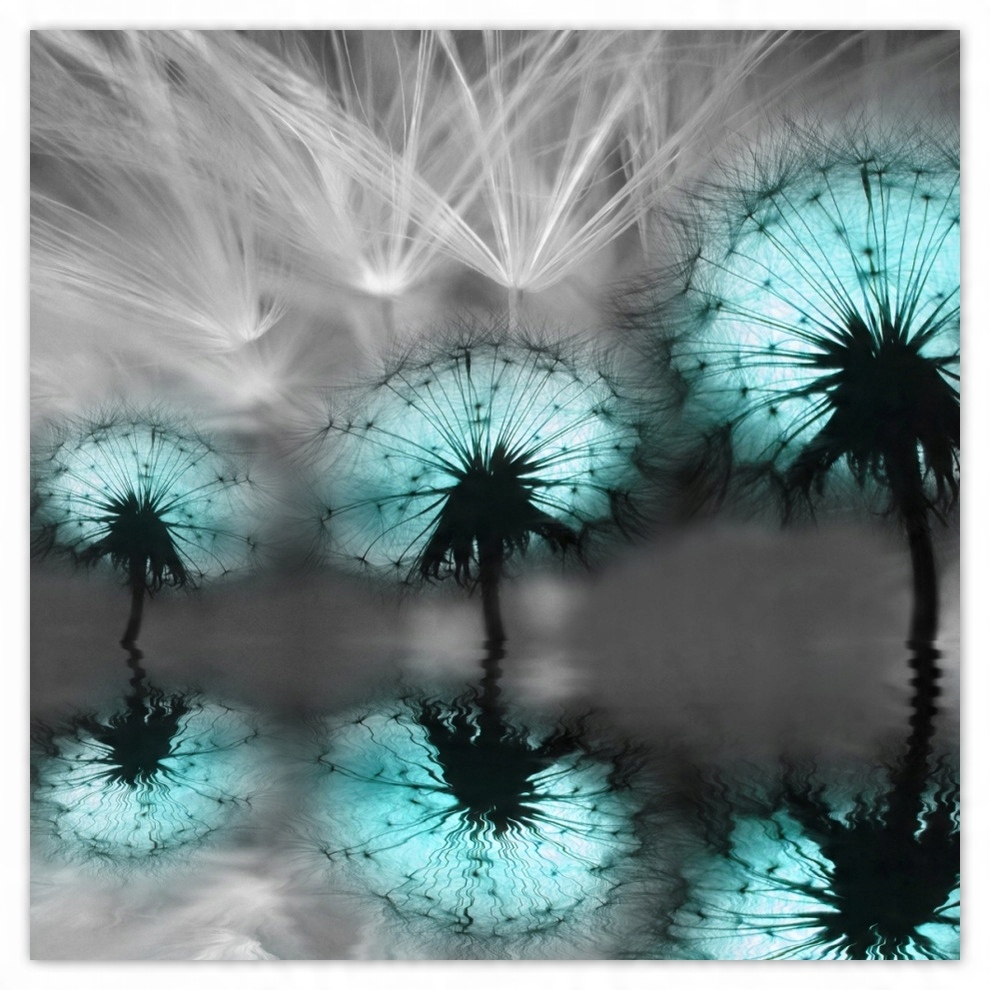 

Fototapety flizelina 208x208 Turkusowe dmuchawce